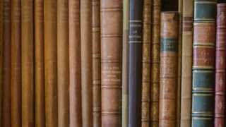 Elly20160628585420 tp v4